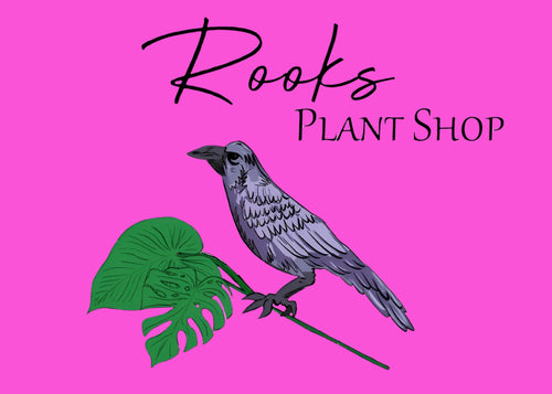 Rooks Plant Shop